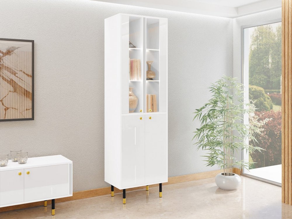 Vitrine 60 Wiastan 05 Vitrine 60 Wiastan 05