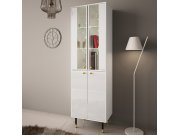 Vitrine 60 Wiastan 05