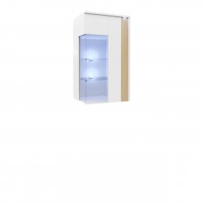 Vitrina suspendata Anrok 50/110 P AR07