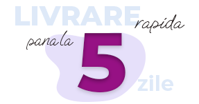 5 zile lucratoare (242)